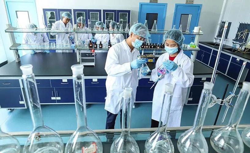 科技赋能"植物工厂" 张掖农特产品提质增效